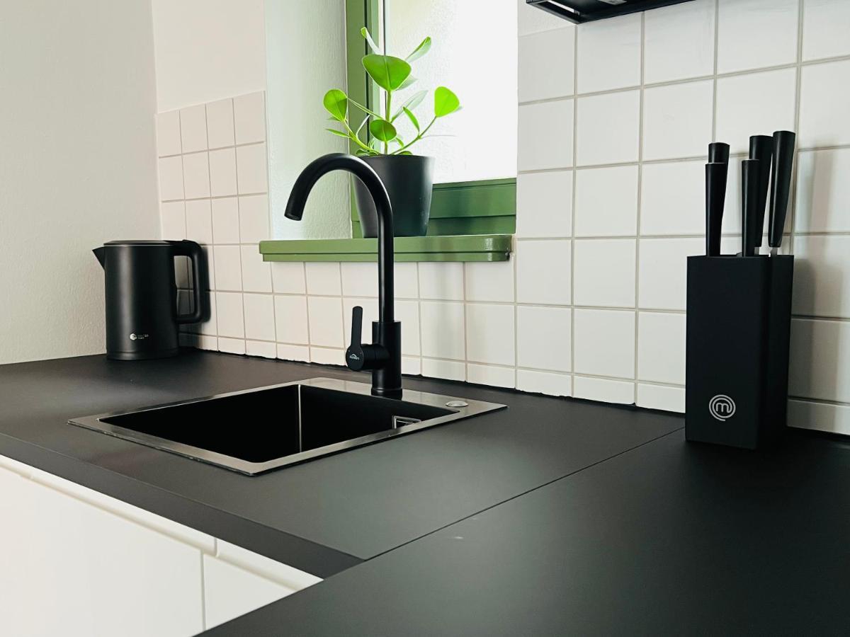Hip & Minimalist - Stadt Apartments Am Malerweg Pirna Bagian luar foto